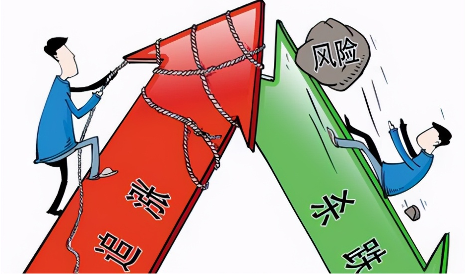 揭秘股票配资公司：运作模式与风险分析