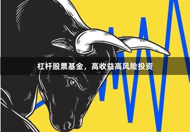 杠杆股票基金，高收益高风险投资