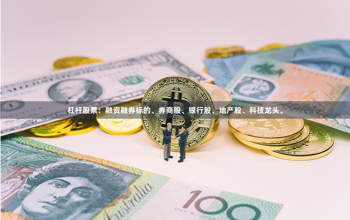 杠杆股票：融资融券标的、券商股、银行股、地产股、科技龙头。
