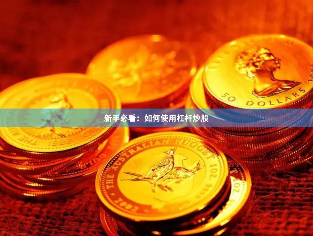 新手必看：如何使用杠杆炒股